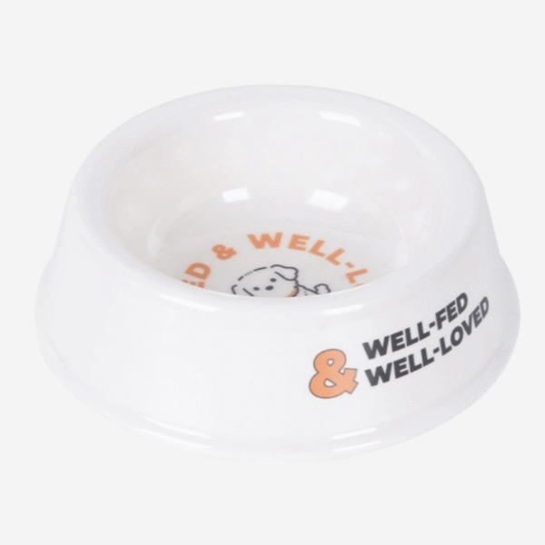 Custom Pet Bowl Set Feeding - Image 3