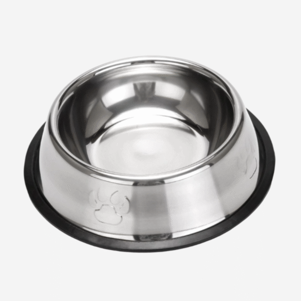 Custom Pet Bowl Set Feeding - Image 4