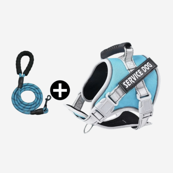 Durable Pet Leash Walking Set - Image 2