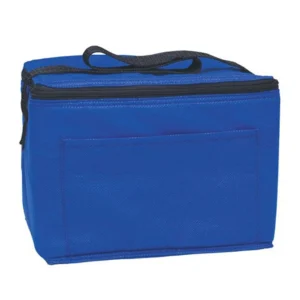 Insulated Water Resistant Lunch Cooler Bag