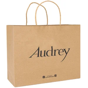 16"w x 12"h x 6"d Paper White Kraft Grocery Bag