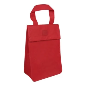 Insulated Lunch Cooler Bag