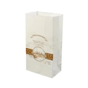 Paper Large Flat Kraft Merchandise Bag - 4.7"w x 8.5"h x 2.7"d