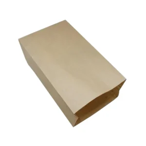 Flat Kraft Merchandise Bag