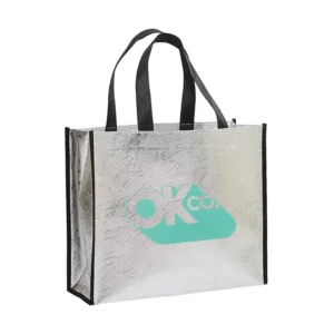 Laminated Large Non-Woven Carry Bag