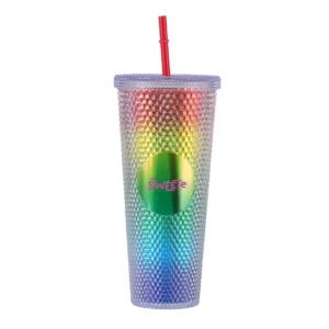 Plastic Large Stainless Straw