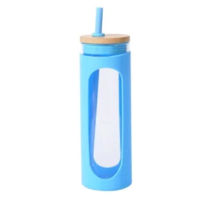Silicone Glass Straw Kit