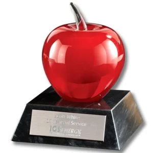 Apple Glass Recognition Piece