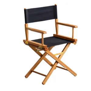 Regular Director Chair